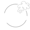 604smoke