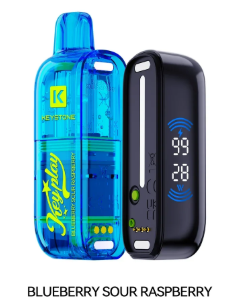 Blueberry Sour Raspberry Vfeel Key Play 40k Vape