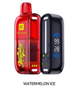 Watermelon Ice Vfeel Key Play 40k Vape